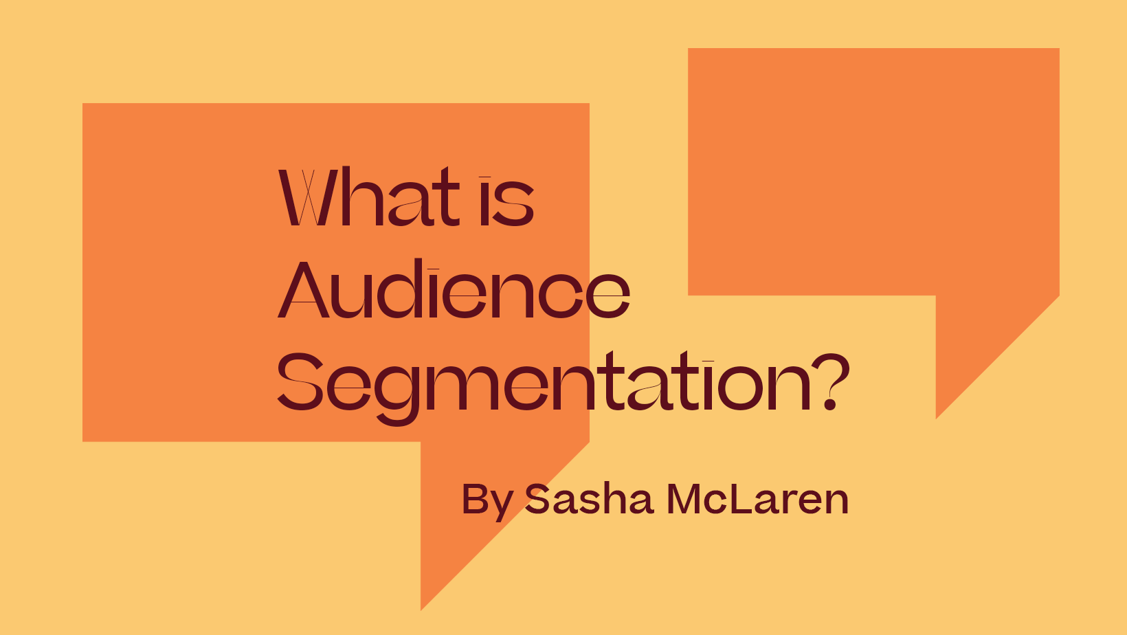 What is Audience Segmentation? By Sasha McLaren on yellow and orange background with speech bubbles